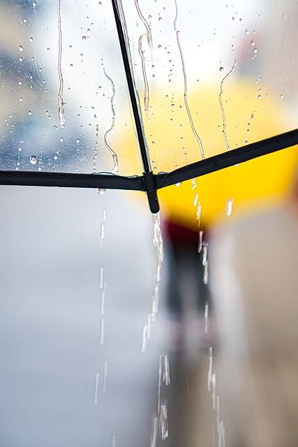 下雨天圖片|超过 400 张关于“下雨天”和“雨”的免费图片